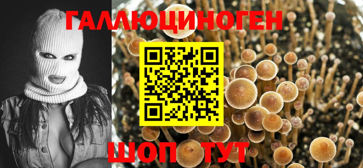 Псилоцибиновые грибы Cubensis  Вход с VPN  Псилоцибиновые грибы GOLDEN TEACHER  Новый Уренгой 